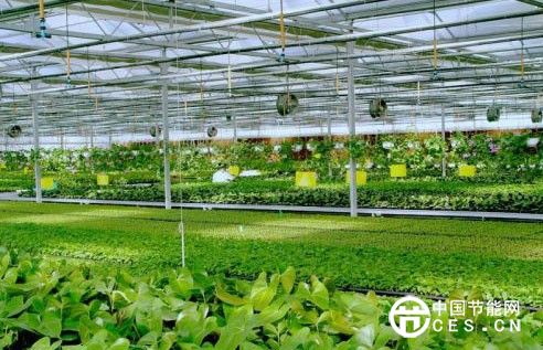 物聯(lián)網(wǎng)+農(nóng)業(yè)：“三農(nóng)”問(wèn)題智慧化轉(zhuǎn)型