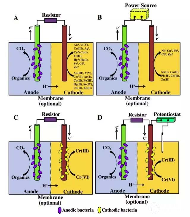 污水處理技術(shù)